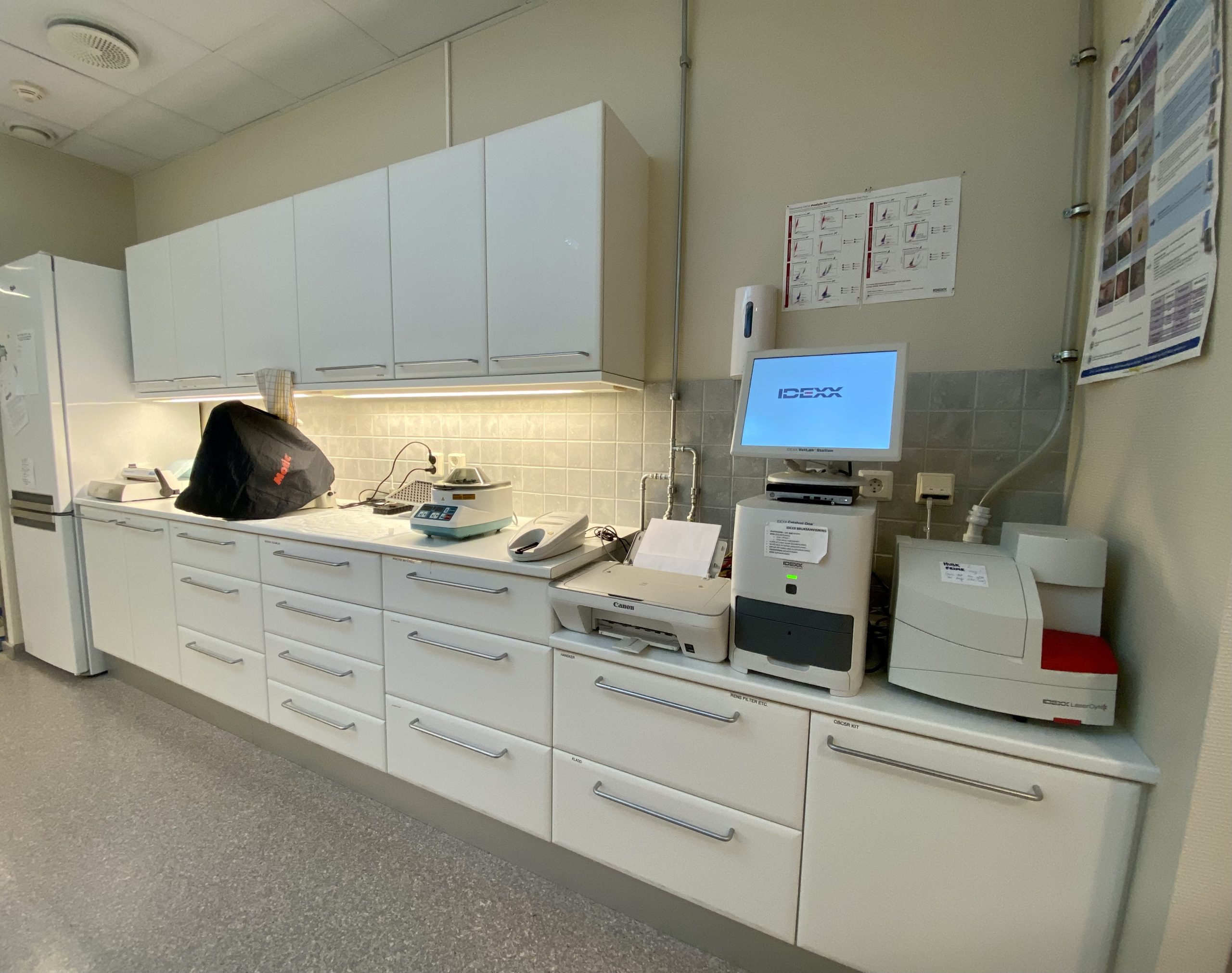 Lab